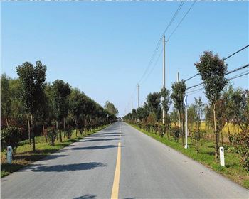  什么是公路基本建設(shè)程序？什么是公路建設(shè)項(xiàng)目經(jīng)濟(jì)評價(jià)？